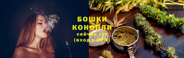 МДПВ Бронницы