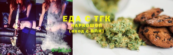 прущие грибы Верхний Тагил