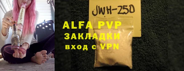 прущие грибы Верхний Тагил