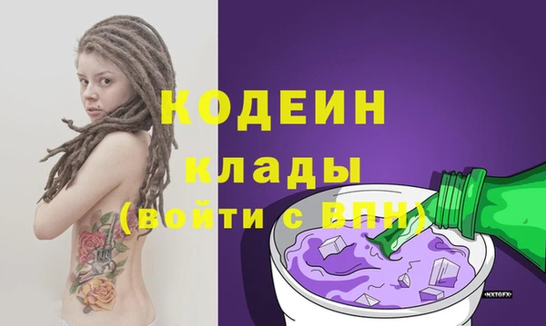 прущие грибы Верхний Тагил
