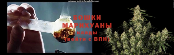 МДПВ Бронницы