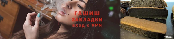прущие грибы Верхний Тагил