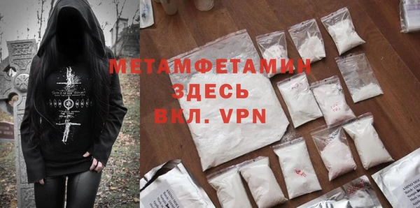 прущие грибы Верхний Тагил
