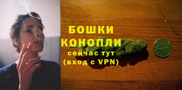 apvp Верея