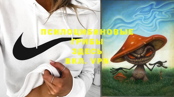 крисы Верхнеуральск