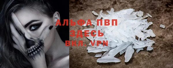 прущие грибы Верхний Тагил