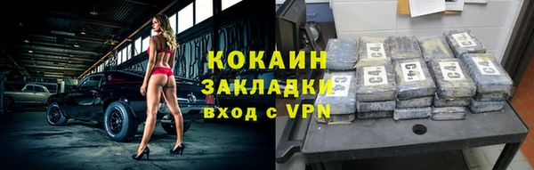 прущие грибы Верхний Тагил