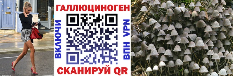 Псилоцибиновые грибы Psilocybine cubensis Жуков